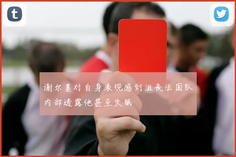 谢尔基对自身表现感到沮丧法国队内部透露他甚至失眠