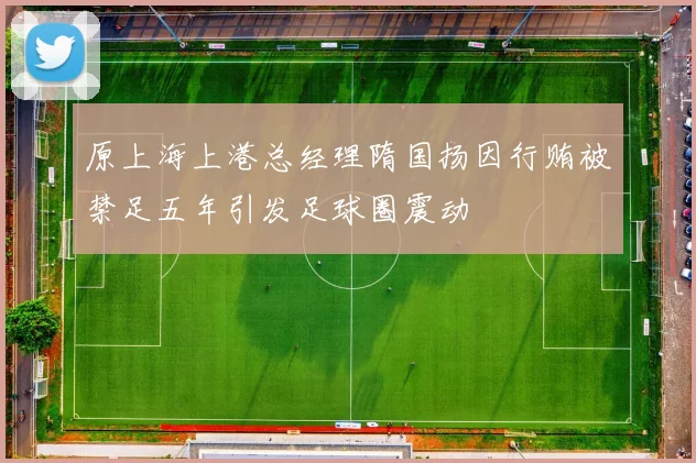 原上海上港总经理隋国扬因行贿被禁足五年引发足球圈震动